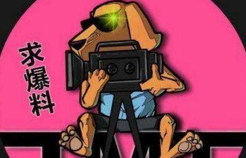 吃瓜娱乐神盾,揭秘神盾局背后的神秘故事